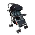 Carriola Ivy Infanti Reversible