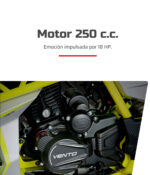 Vento nitrox 250 cc mod.2026 - Image 6