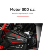 Vento nitrox 300 cc mod.2026 - Image 4