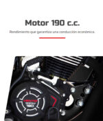 Vento ryder 190 cc mod.2026 - Image 4